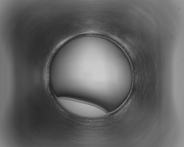 X0000102811367200808180944
