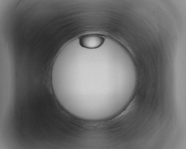 X0000102811369200808180944
