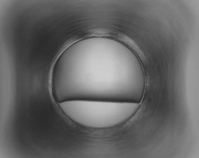 X0000102811378200808180944