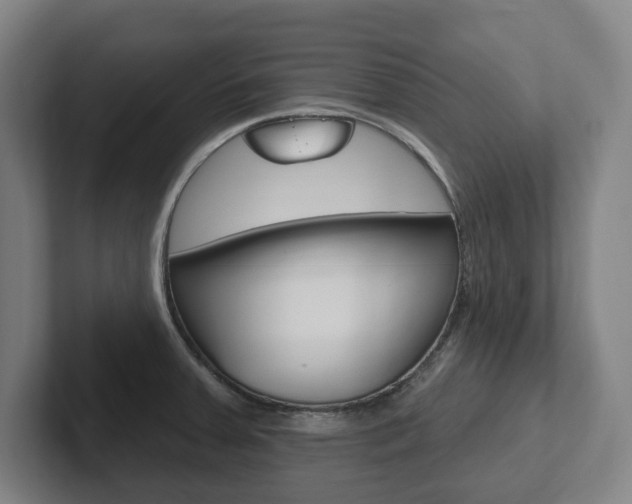 X0000102811379200808180944
