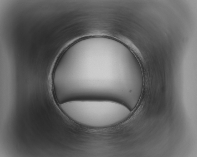 X0000102811380200808180944