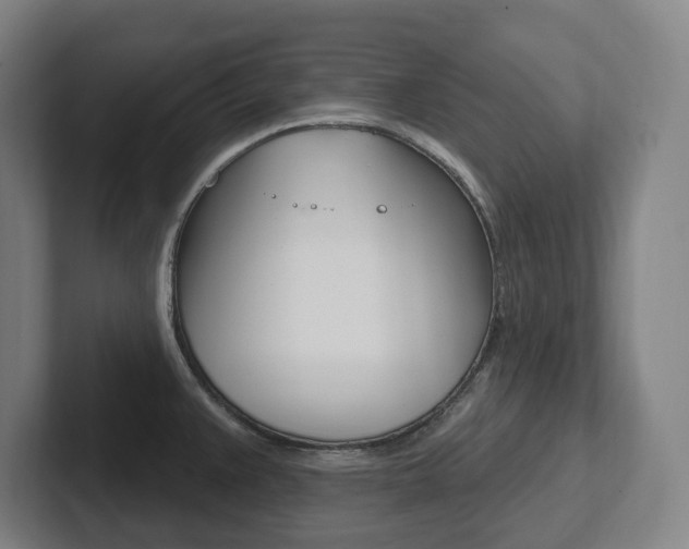 X0000102811383200808180944