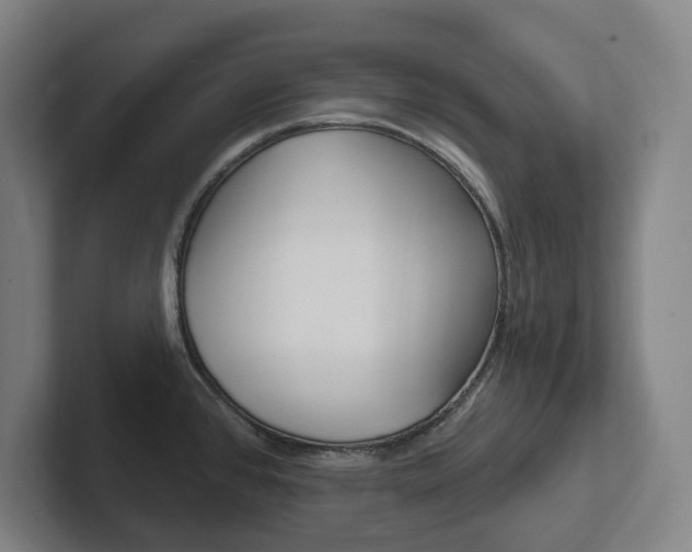 X0000102811384200808180944