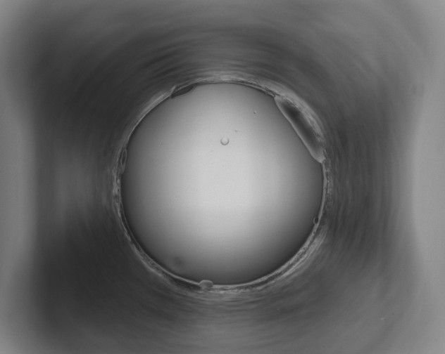 X0000102811385200808180944