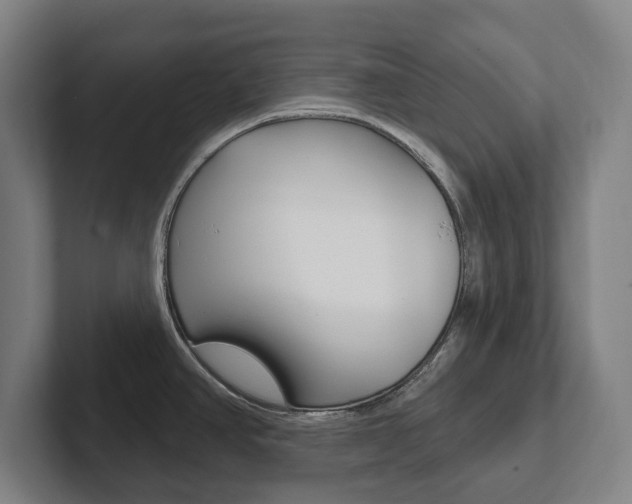 X0000102811390200808180944