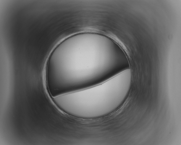 X0000102811391200808180944