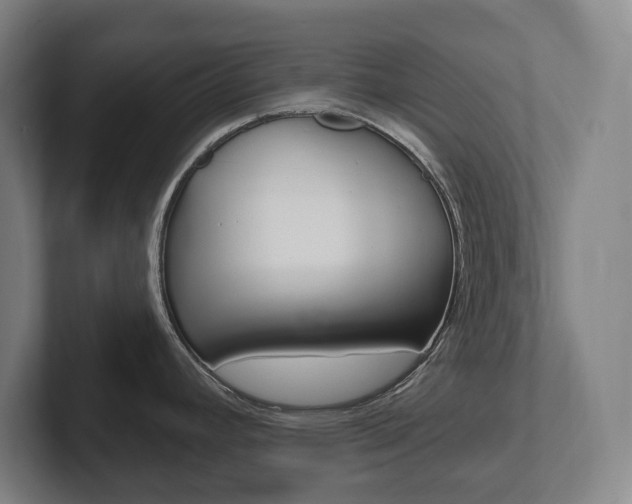 X0000102811392200808180944