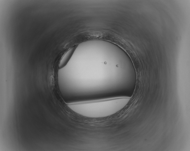 X0000102811394200808180943