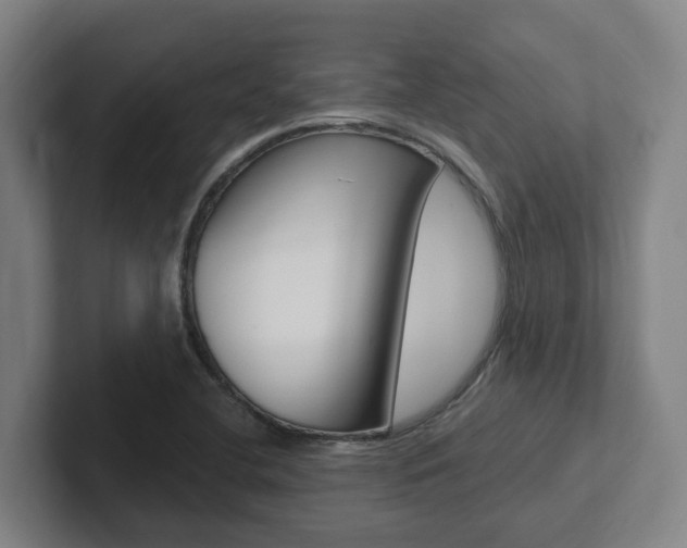 X0000102811412200808180944
