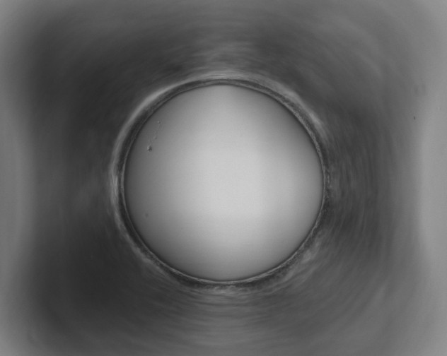 X0000102811416200808180944