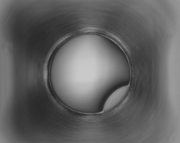 X0000102811418200808180944