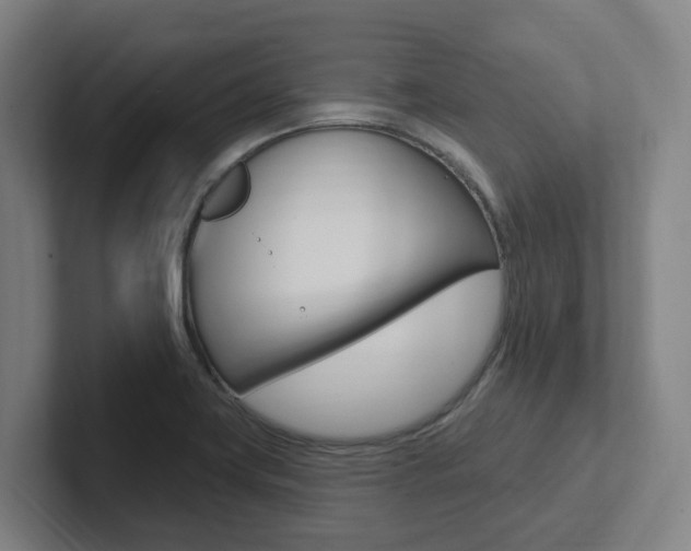 X0000102811419200808180944