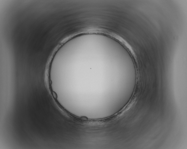 X0000102811429200808180944
