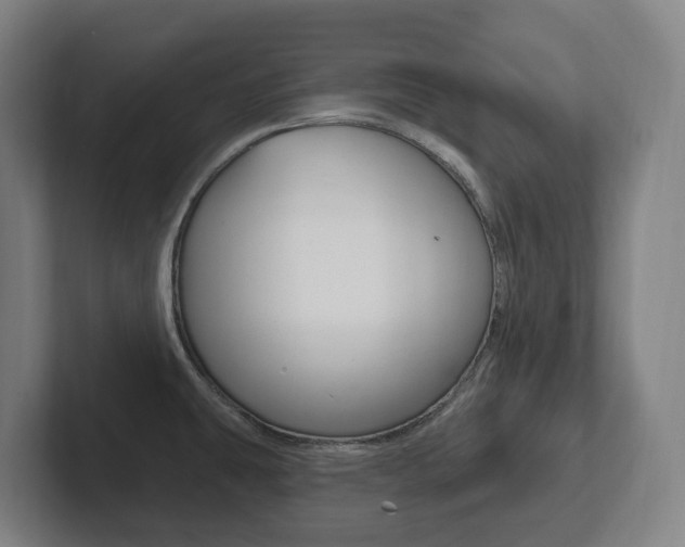 X0000102811431200808180944