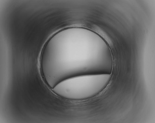 X0000102811436200808180944