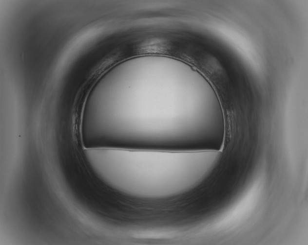 X0000102811438200808180944