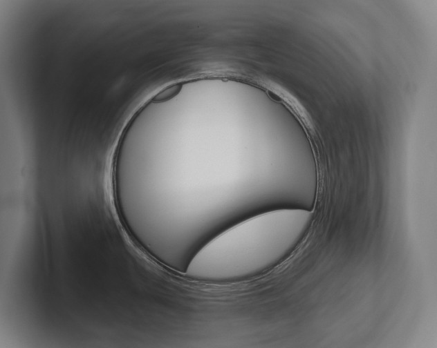 X0000102811439200808180944