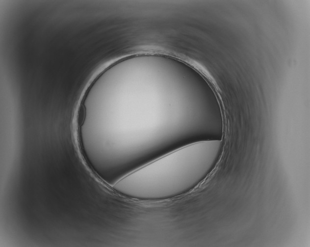 X0000102811440200808180944