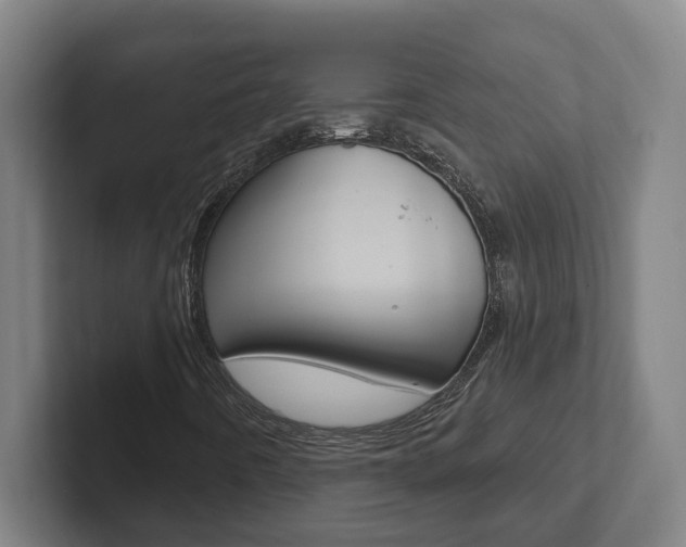 X0000102811442200808180943