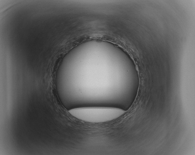 X0000102811445200808180943