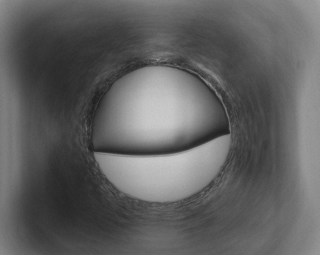X0000102811447200808180943