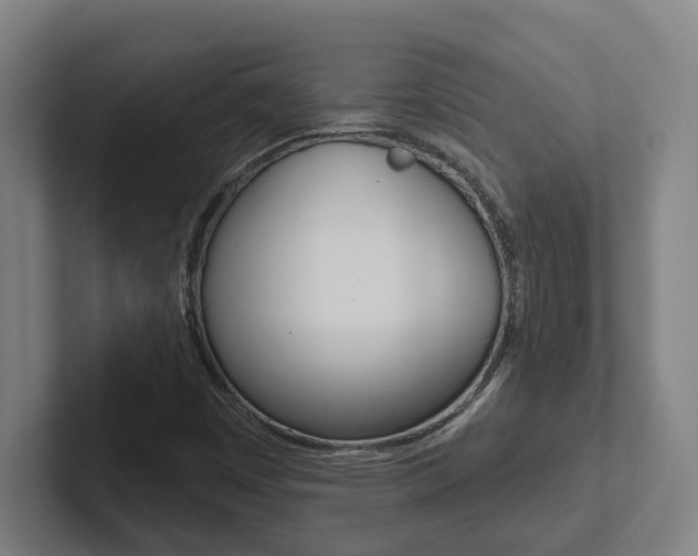X0000102811449200808180943