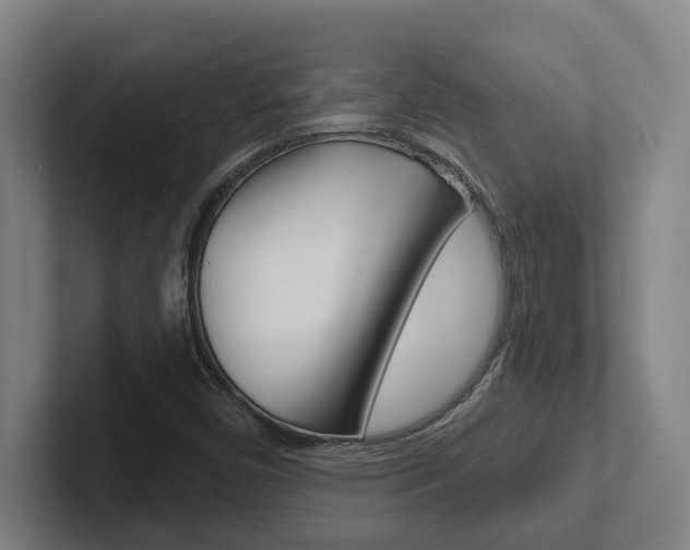 X0000102811450200808180943