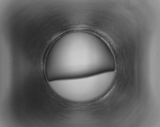 X0000102811457200808180943