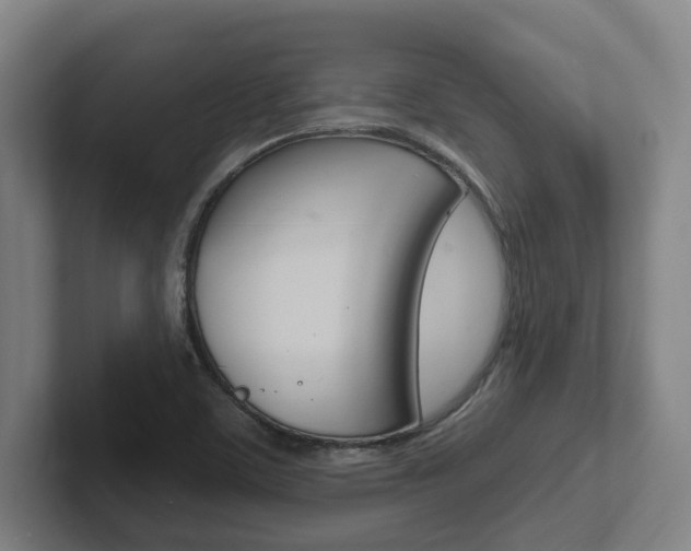 X0000102811459200808180943