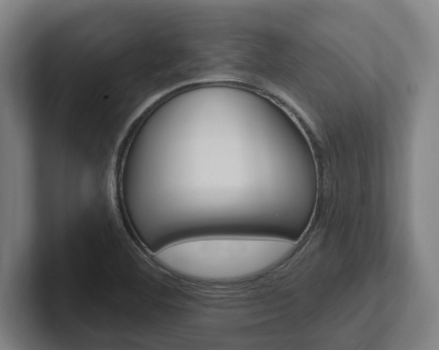 X0000102811460200808180943