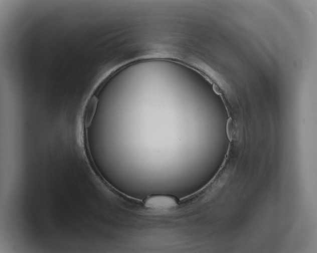 X0000102811468200808180943