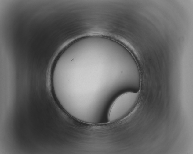 X0000102811469200808180943