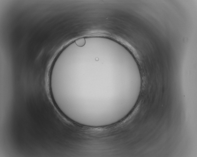 X0000102811470200808180943
