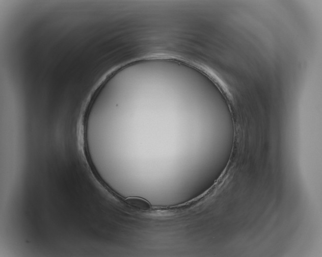X0000102811476200808180943