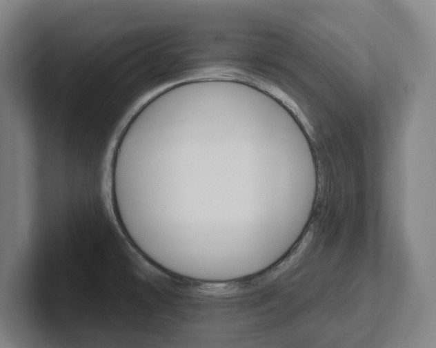X0000102811478200808180943