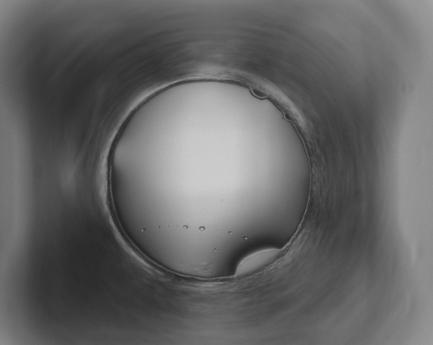 X0000102811479200808180943