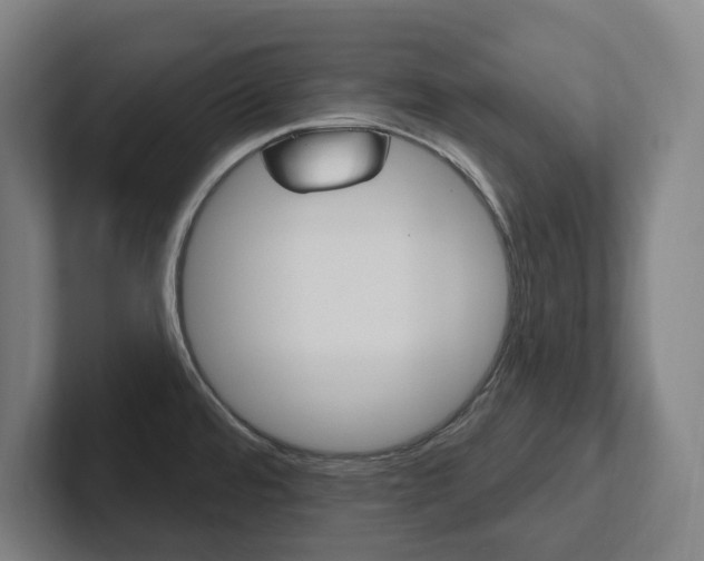 X0000102811480200808180943