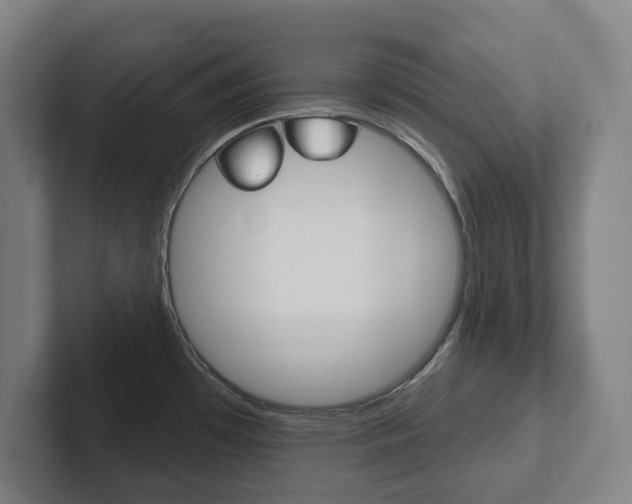 X0000102811481200808180943
