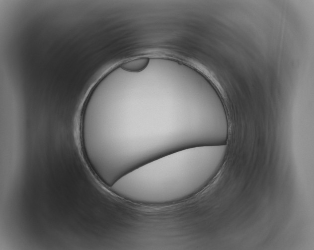 X0000102811482200808180943