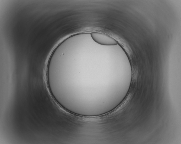 X0000102811486200808180943