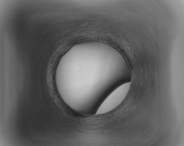 X0000102811489200808180942