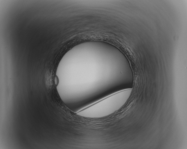 X0000102811490200808180942