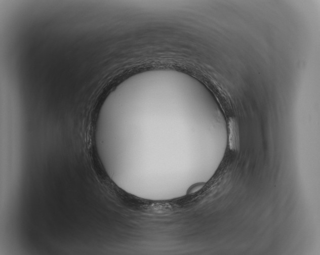 X0000102811491200808180942