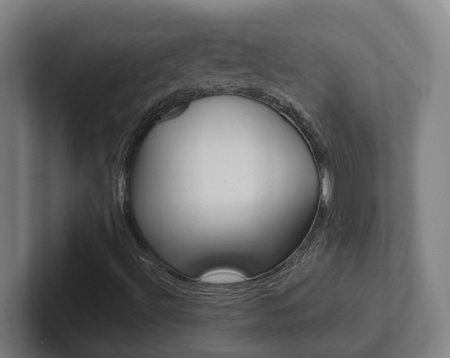 X0000102811492200808180942