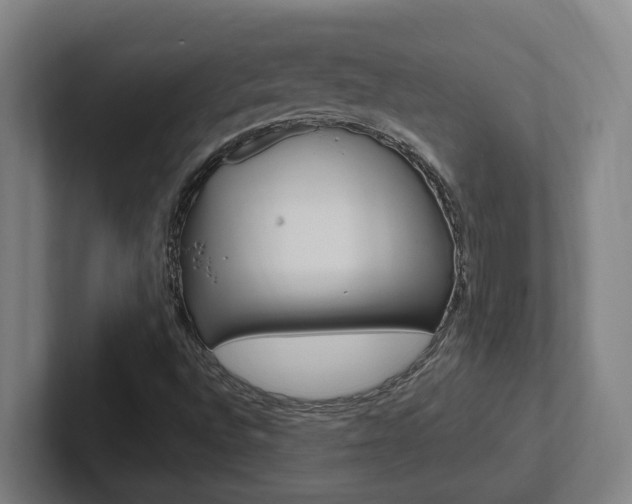 X0000102811496200808180942