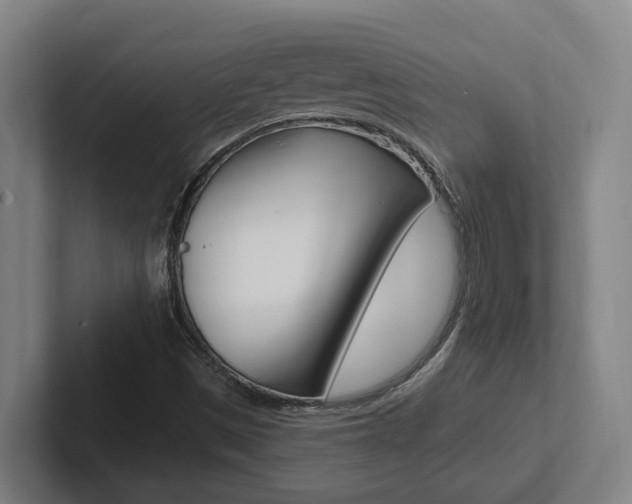 X0000102811497200808180942