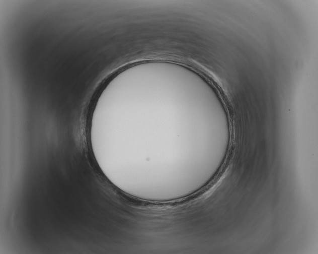 X0000102811498200808180942
