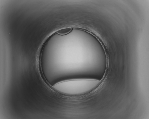 X0000102811500200808180942