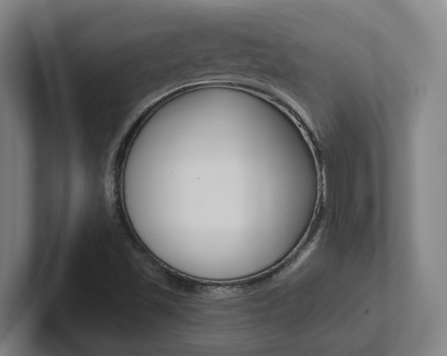 X0000102811501200808180942