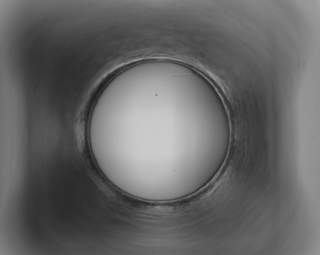 X0000102811503200808180942